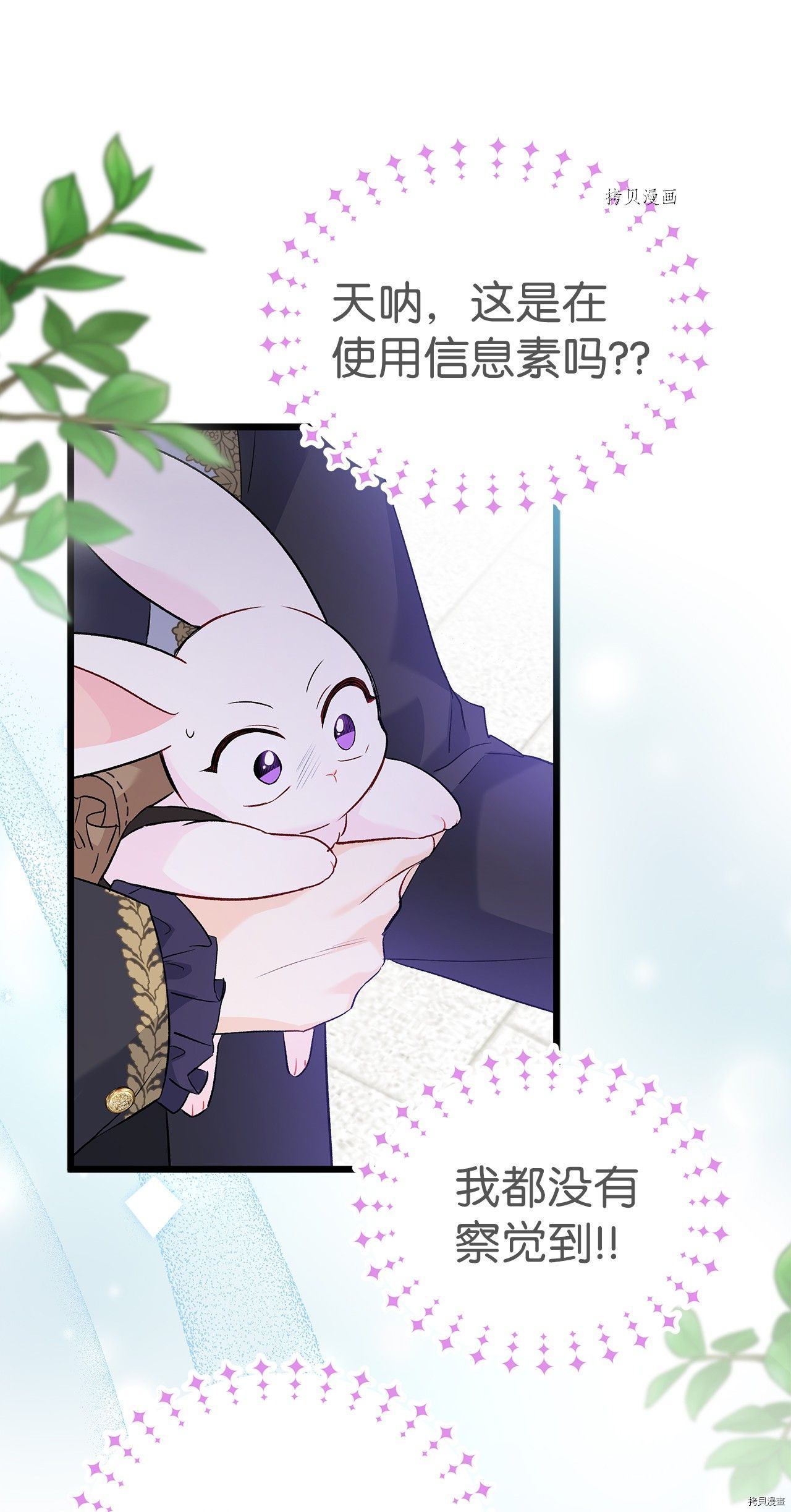 第 61 页