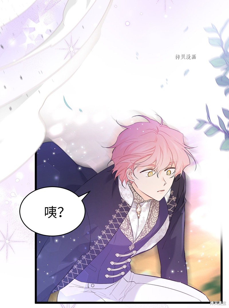 第 81 页