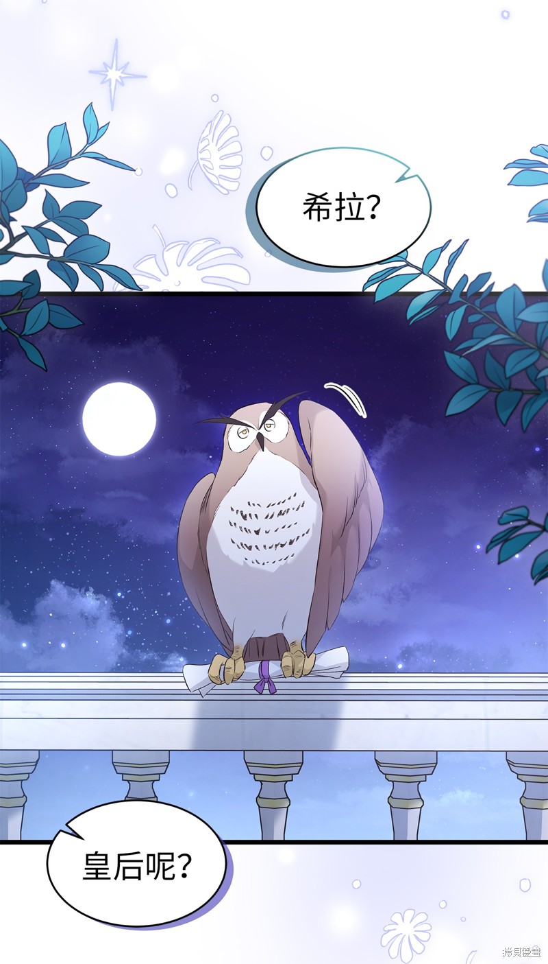 第 53 页
