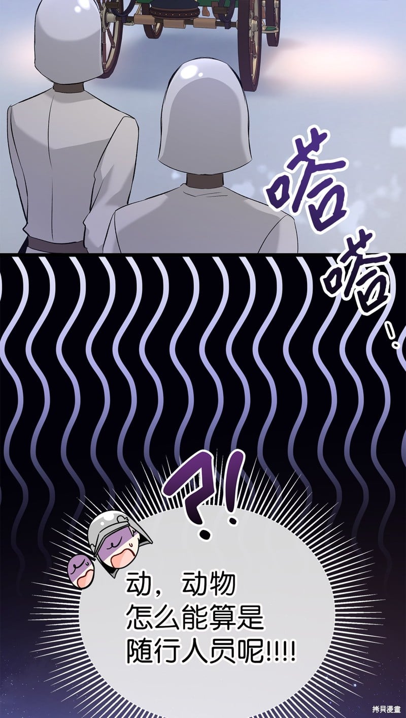 第 85 页