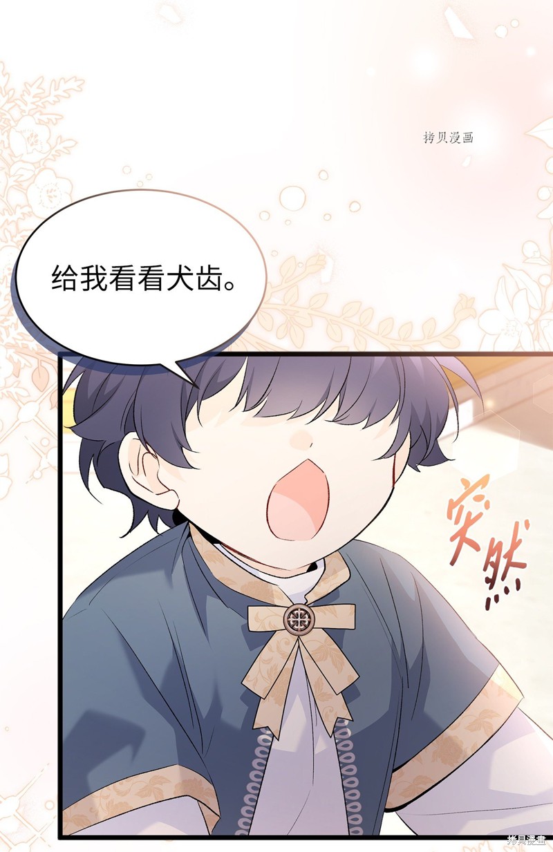 第 53 页