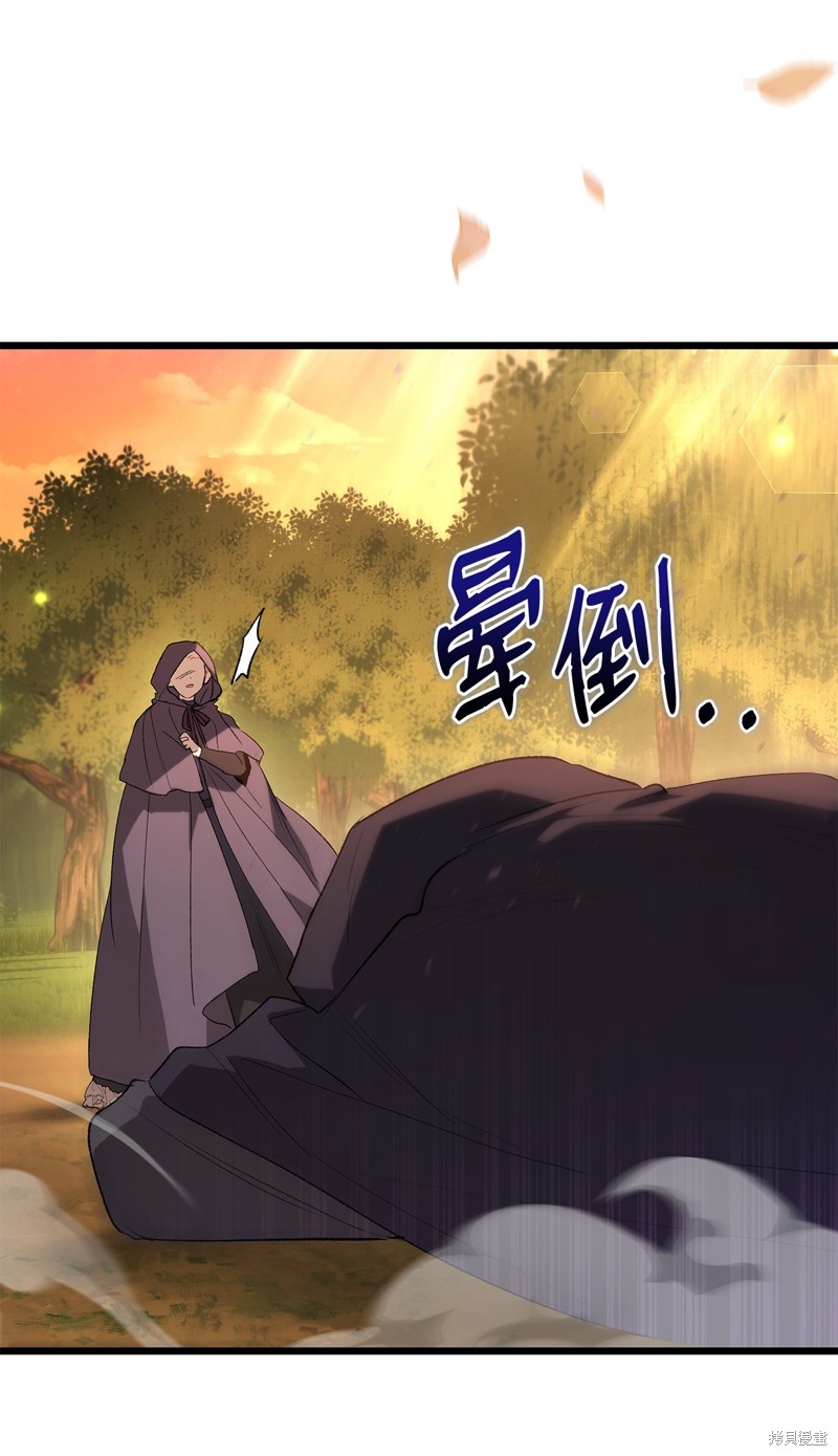 第 95 页