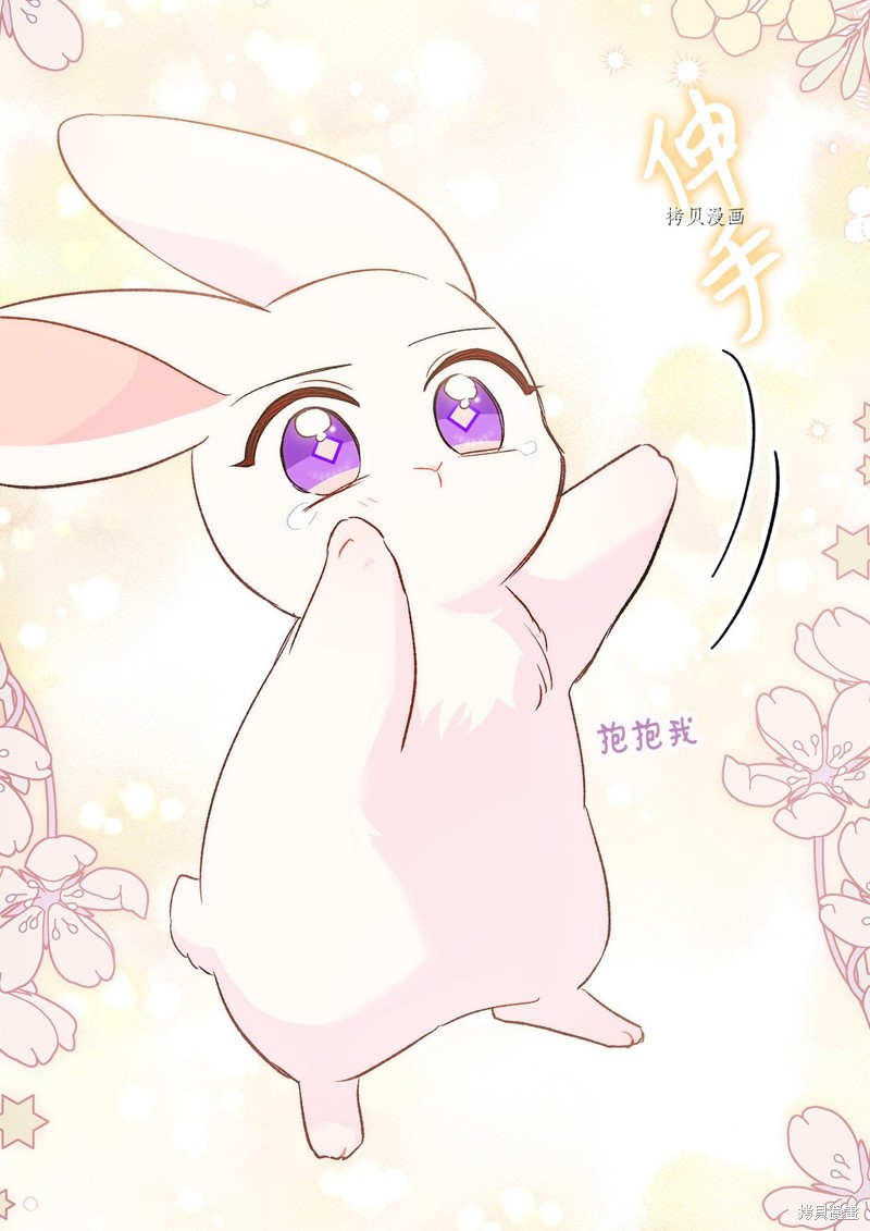 第 97 页