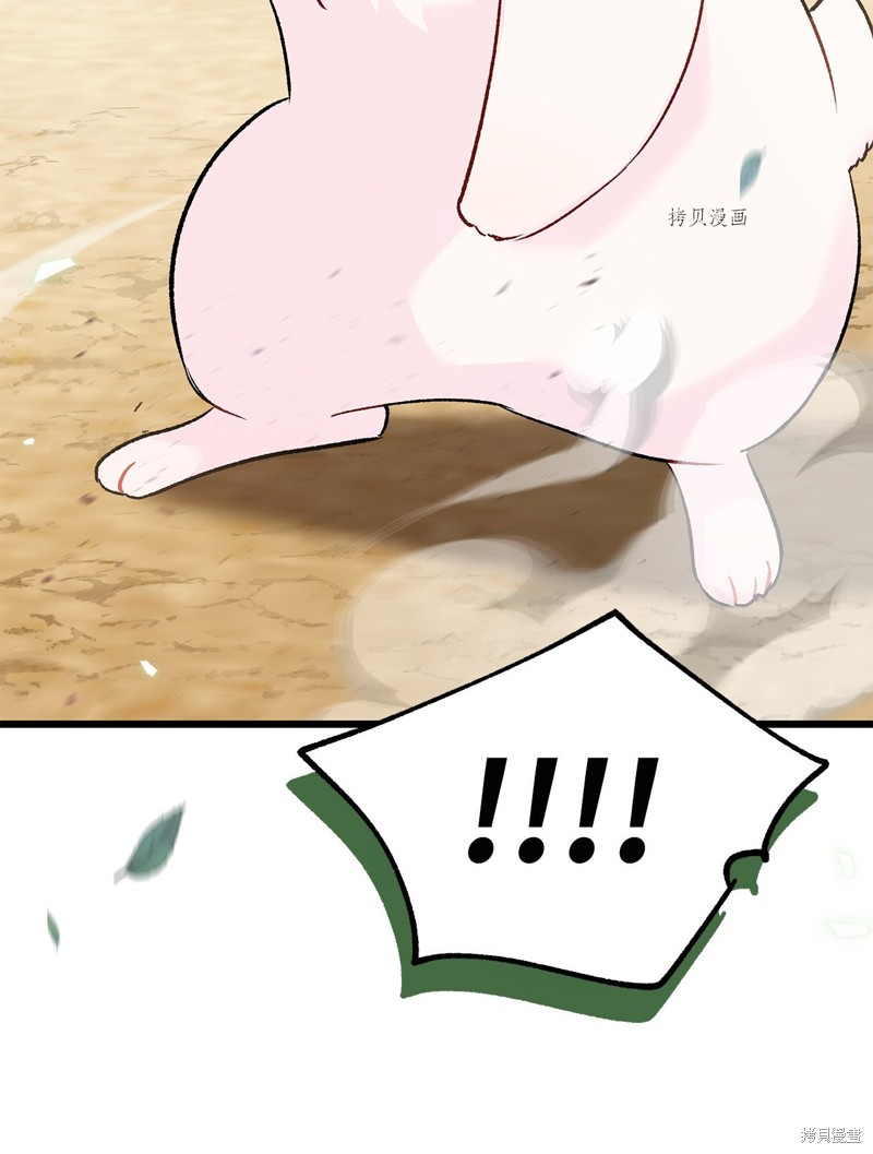 第 91 页