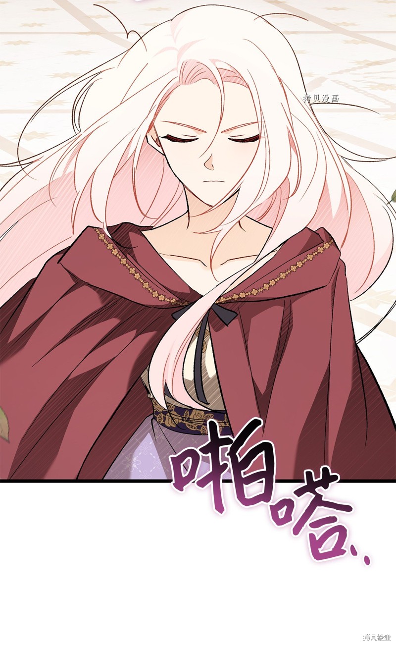 第 68 页