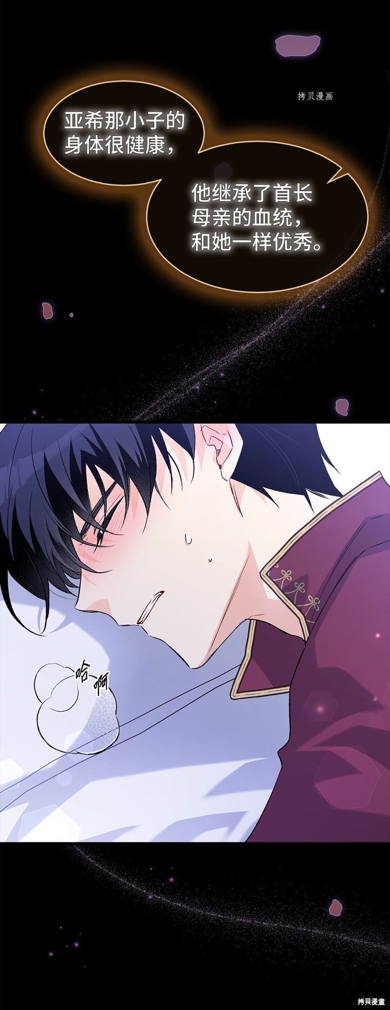 第 51 页