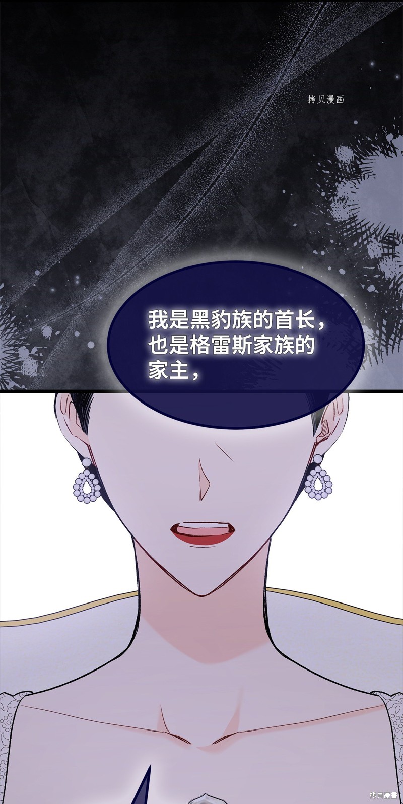 第 53 页