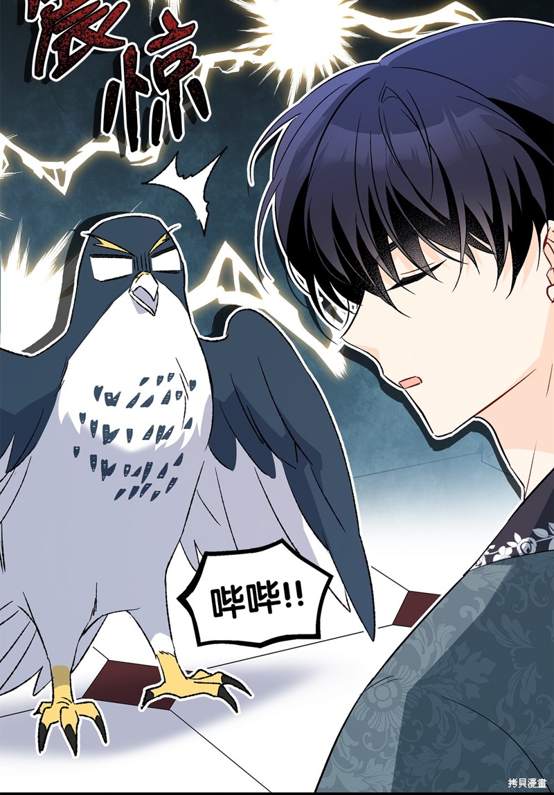 第 61 页