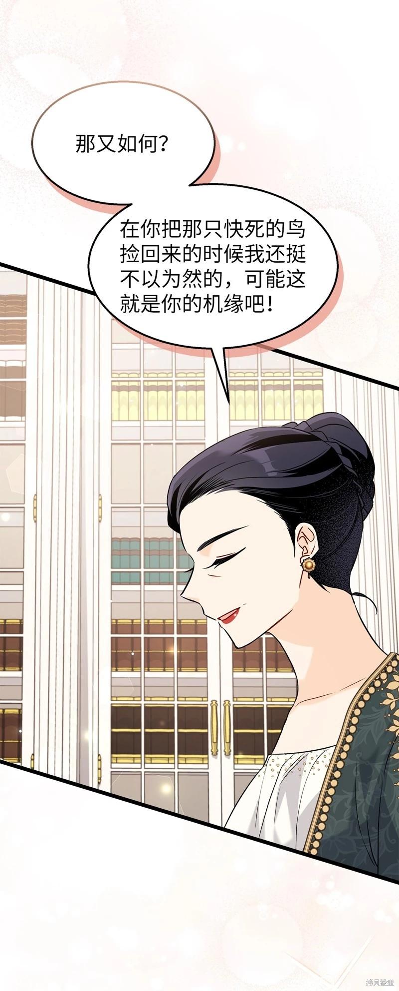 第 42 页