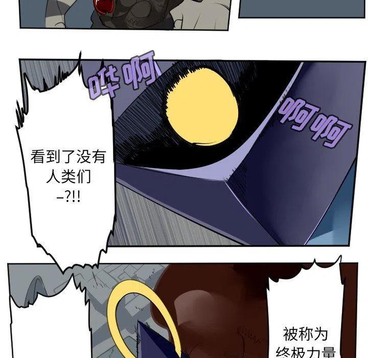 第 48 页