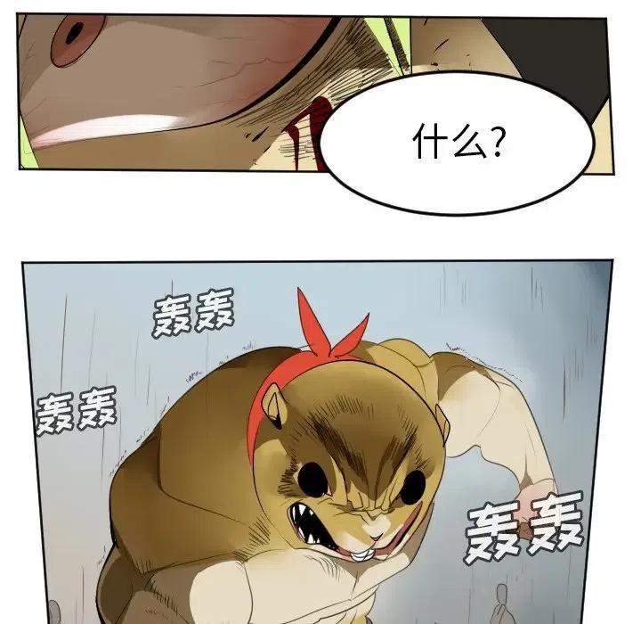 第 53 页