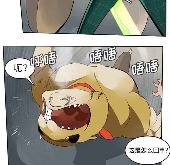 第 38 页