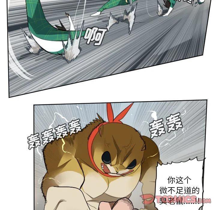 第 51 页