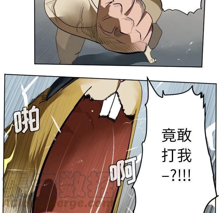 第 52 页