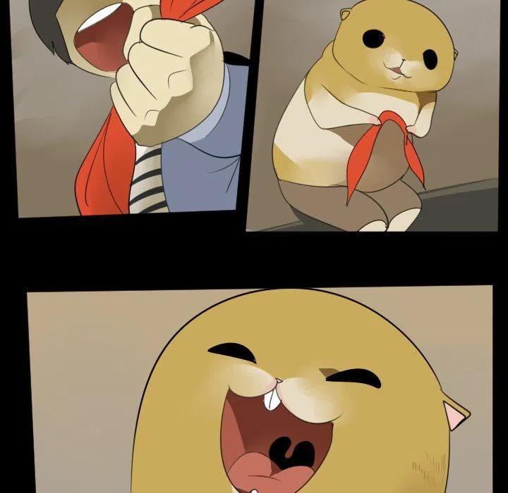 第 50 页