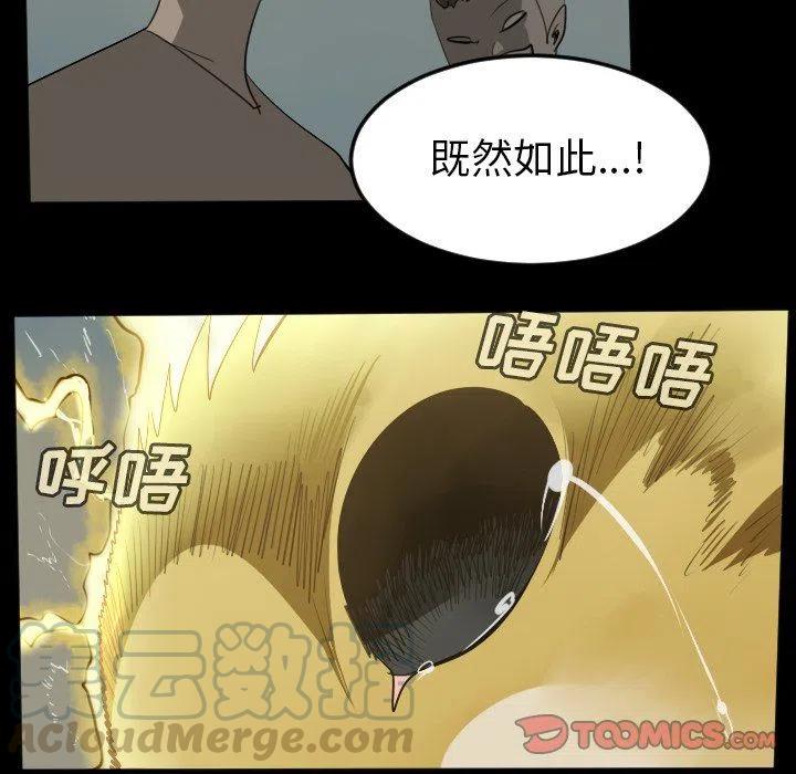 第 55 页