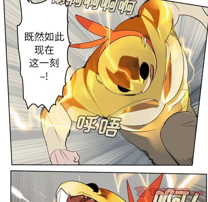 第 39 页