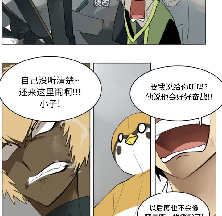 第 51 页