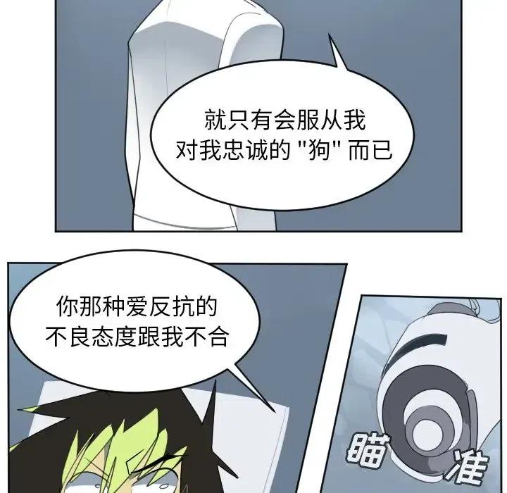 第 42 页