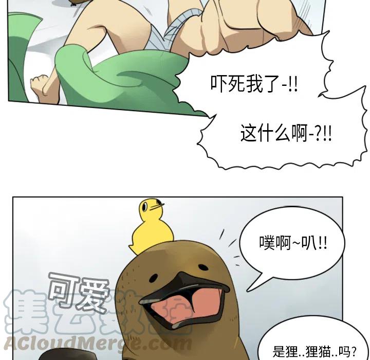 第 31 页