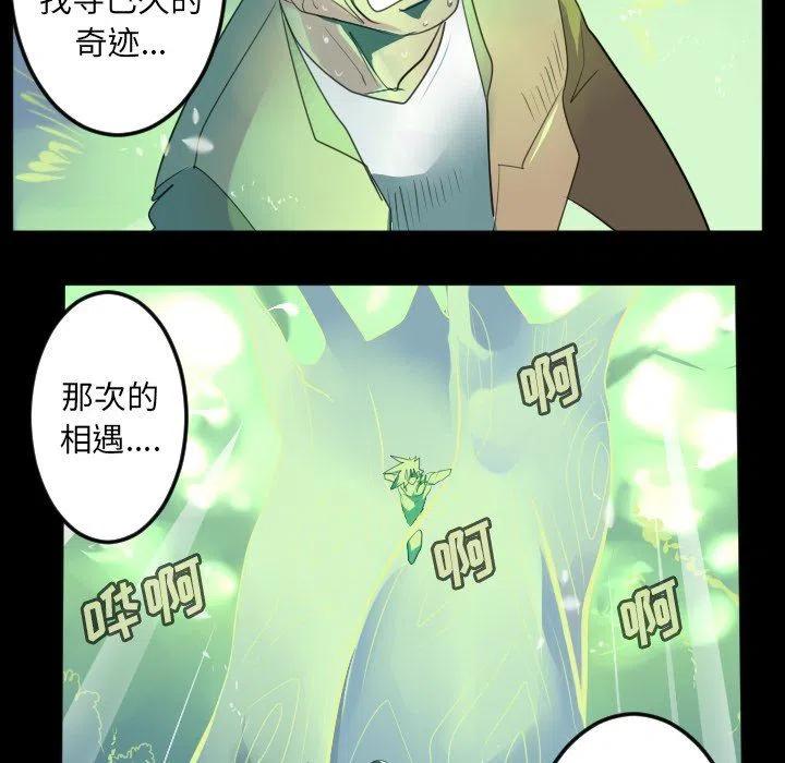 第 53 页
