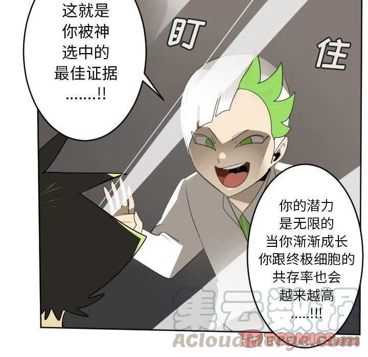 第 46 页