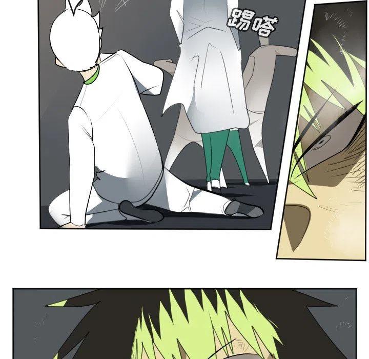 第 48 页