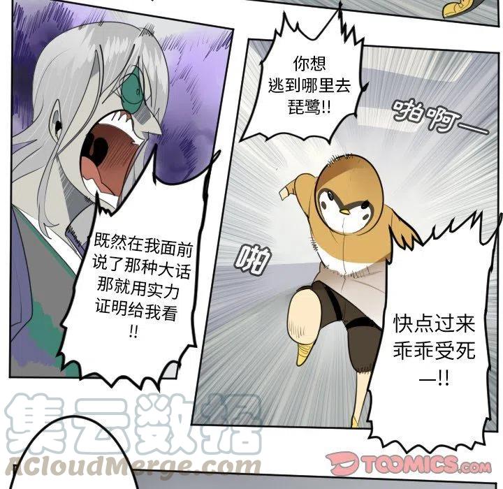 第 43 页