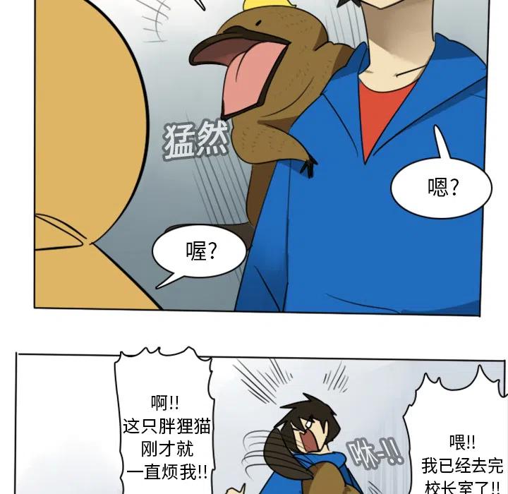 第 42 页