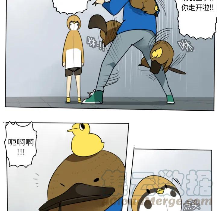 第 43 页