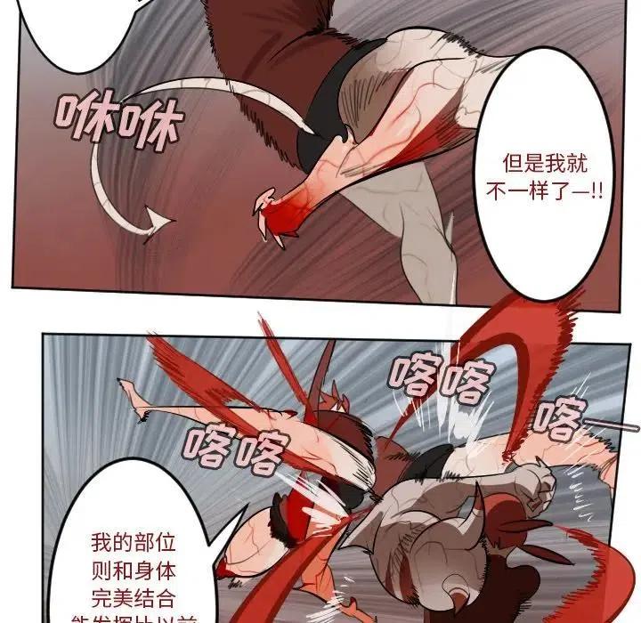 第 41 页