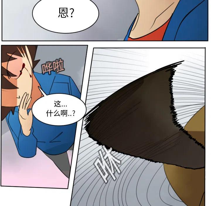 第 27 页