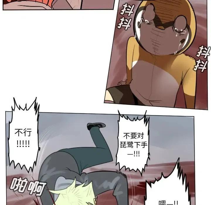 第 51 页