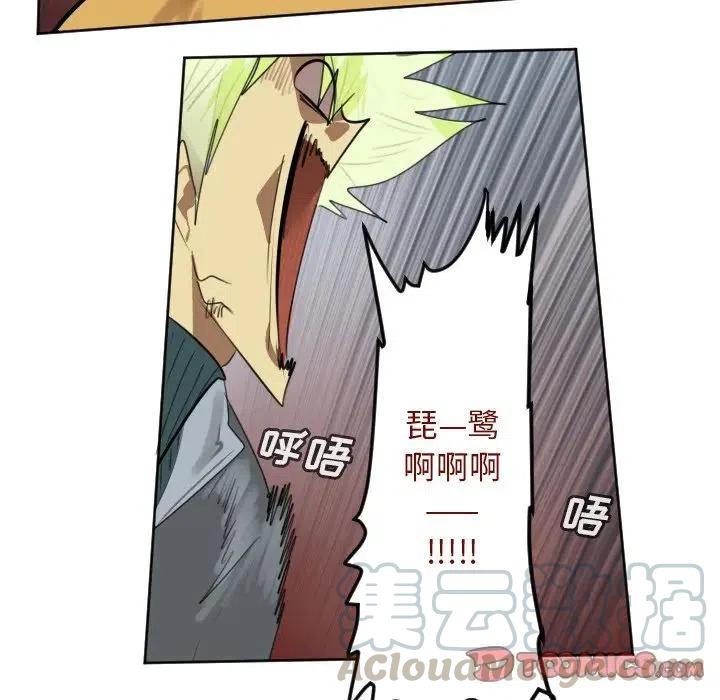 第 55 页