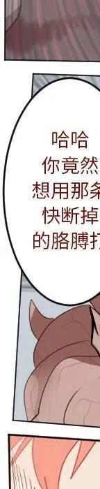 第 106 页
