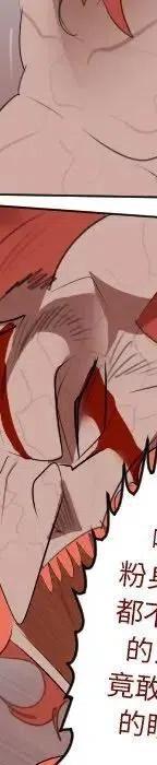 第 207 页