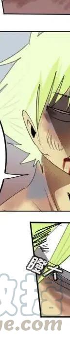 第 217 页