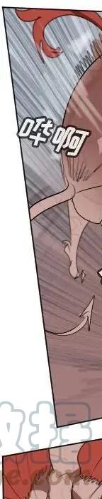 第 221 页
