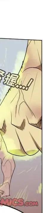 第 290 页