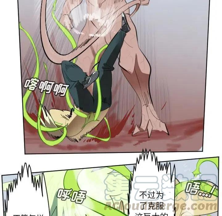 第 55 页