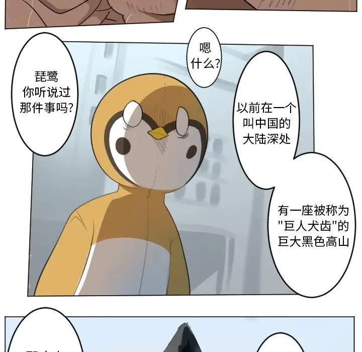 第 41 页