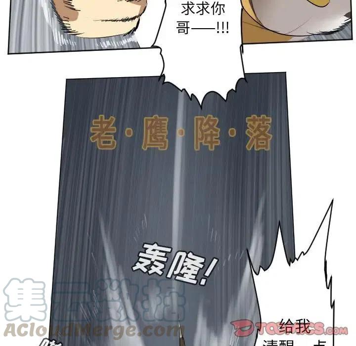 第 55 页