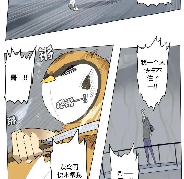 第 33 页