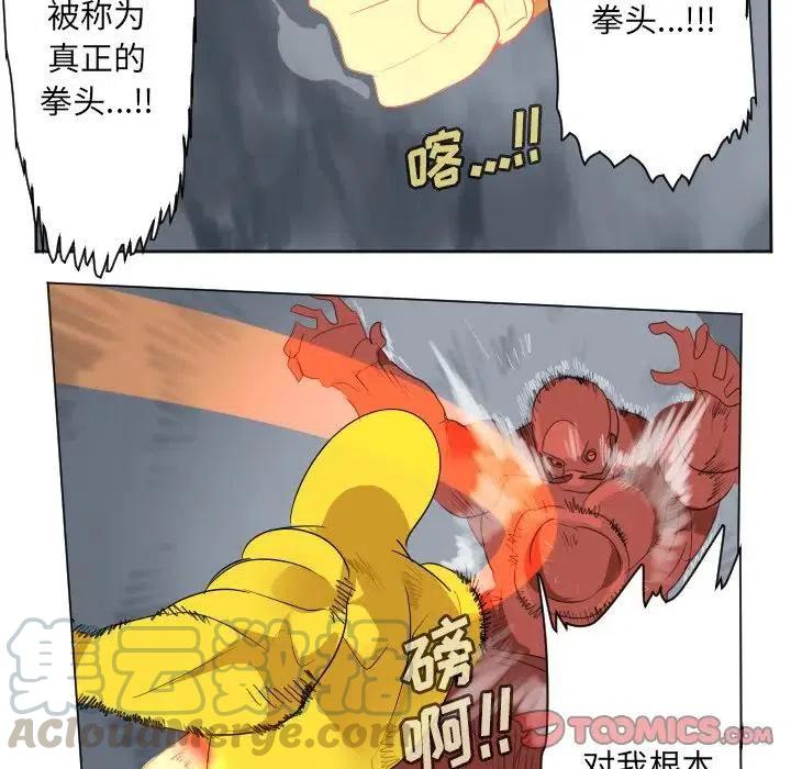 第 43 页