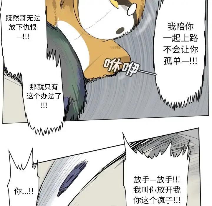 第 48 页