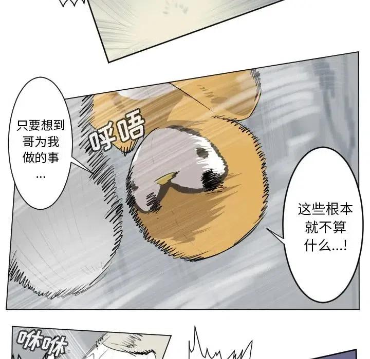 第 50 页