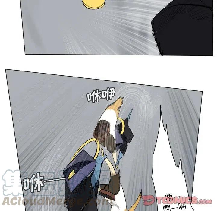 第 34 页