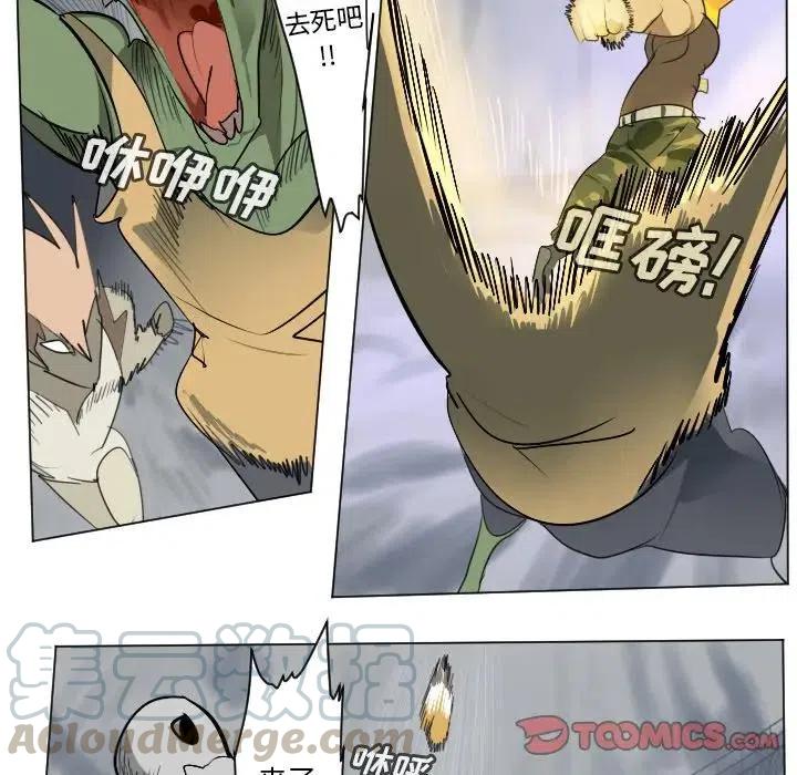 第 46 页