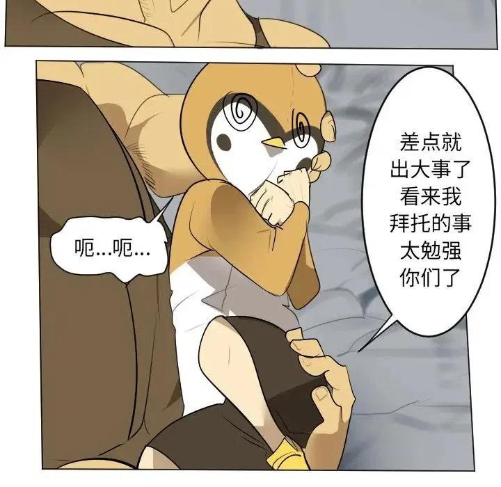 第 51 页