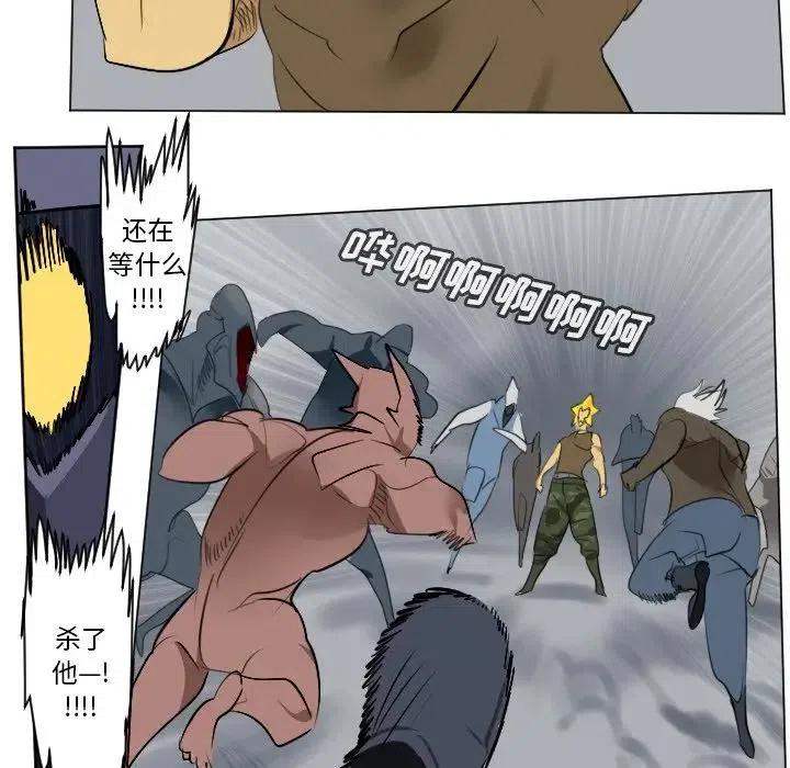 第 33 页